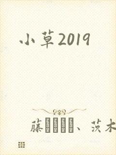 小草2019封面