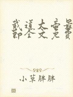 武道大帝最新章节全文免费阅读封面