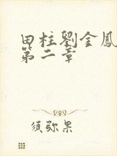 田柱刘金凤小说第二章封面