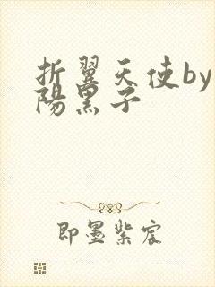 折翼天使by太阳黑子封面