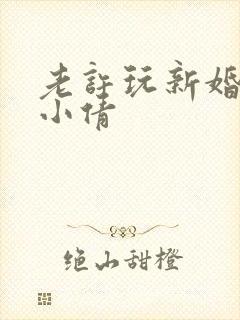 老许玩新婚少妇小倩