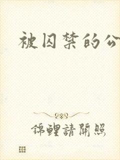 被囚禁的公主封面