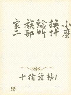 家族轮换小说第二部叫什么名字