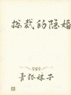 总裁的隐婚新娘封面