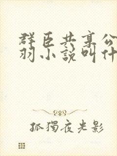 群臣共享公主银羽小说叫什么