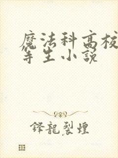 魔法科高校的劣等生小说