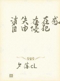 消失存在感消失自由侵犯