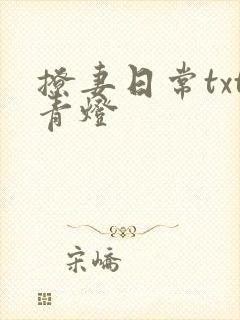 撩妻日常txt青灯