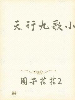 天行九歌小说