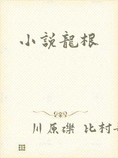 小说龙根