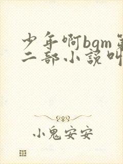 少年啊bgm第二部小说叫什么