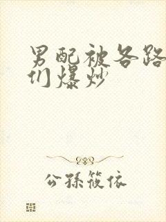 男配被各路大佬们爆炒