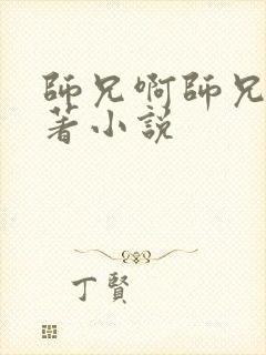 师兄啊师兄的原著小说封面