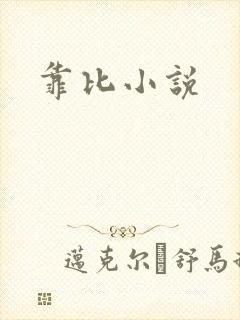 靠比小说