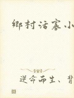 乡村活寡小说封面