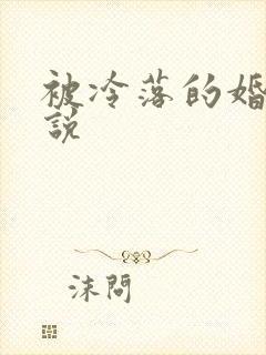 被冷落的婚姻小说