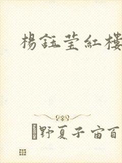 杨钰莹红楼