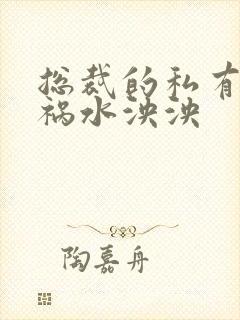 总裁的私有宝贝祸水泱泱