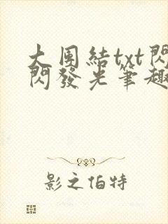 大团结txt闪闪发光笔趣阁