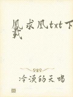 凤求凰txt下载