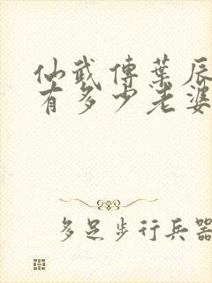 仙武传叶辰一共有多少老婆