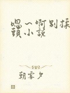 嗯～啊别揉我奶头小说封面