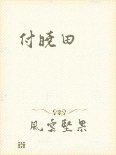 付晓田