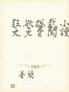 狂欲总裁小说全文免费阅读封面