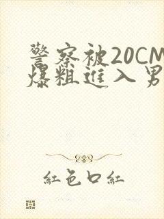 警察被20CM爆粗进入男男软件