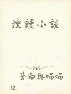 搜读小说
