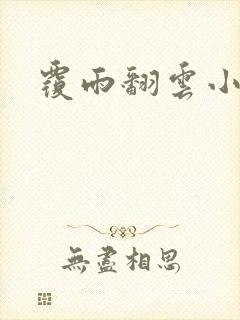 覆雨翻云小说封面