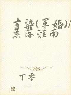 有染(军婚)/叶落淮南