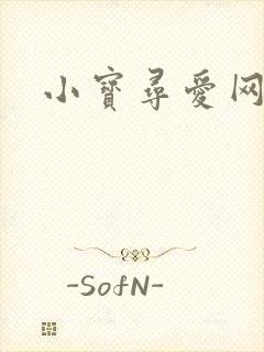 小宝寻爱网