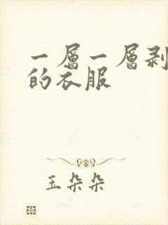 一层一层剥开你的衣服