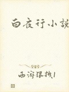 白夜行小说下载