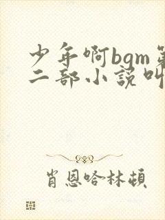 少年啊bgm第二部小说叫什么