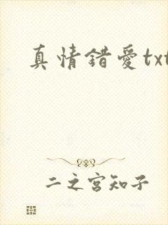 真情错爱txt封面