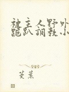 被主人野外玩弄跪趴调教小说封面