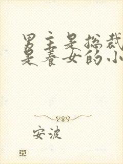 男主是总裁女主是养女的小说封面