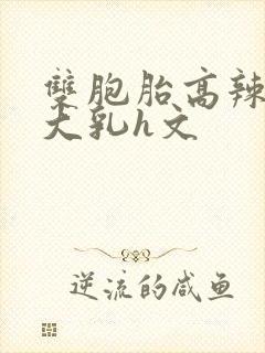 双胞胎高辣h文大乳h文