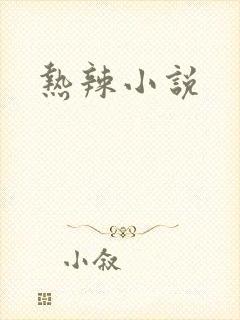 热辣小说