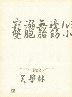 宠溺无边1v3双胞胎的小说