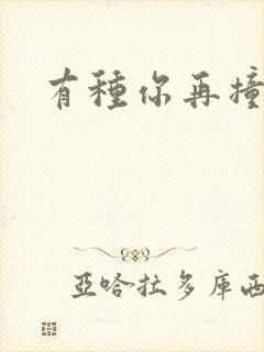 有种你再撞一下