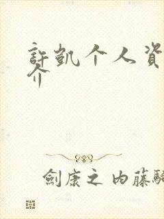 许凯个人资料简介