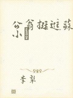 公翁挺进苏玥的小泬