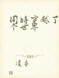 同时穿越了99个世界