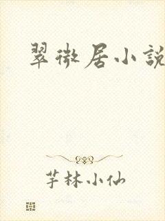 翠微居小说