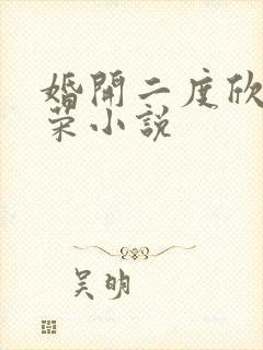 婚开二度欣欣向荣小说