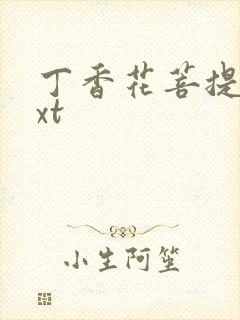 丁香花菩提树txt