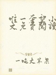 唯一奢望小说全文免费阅读封面